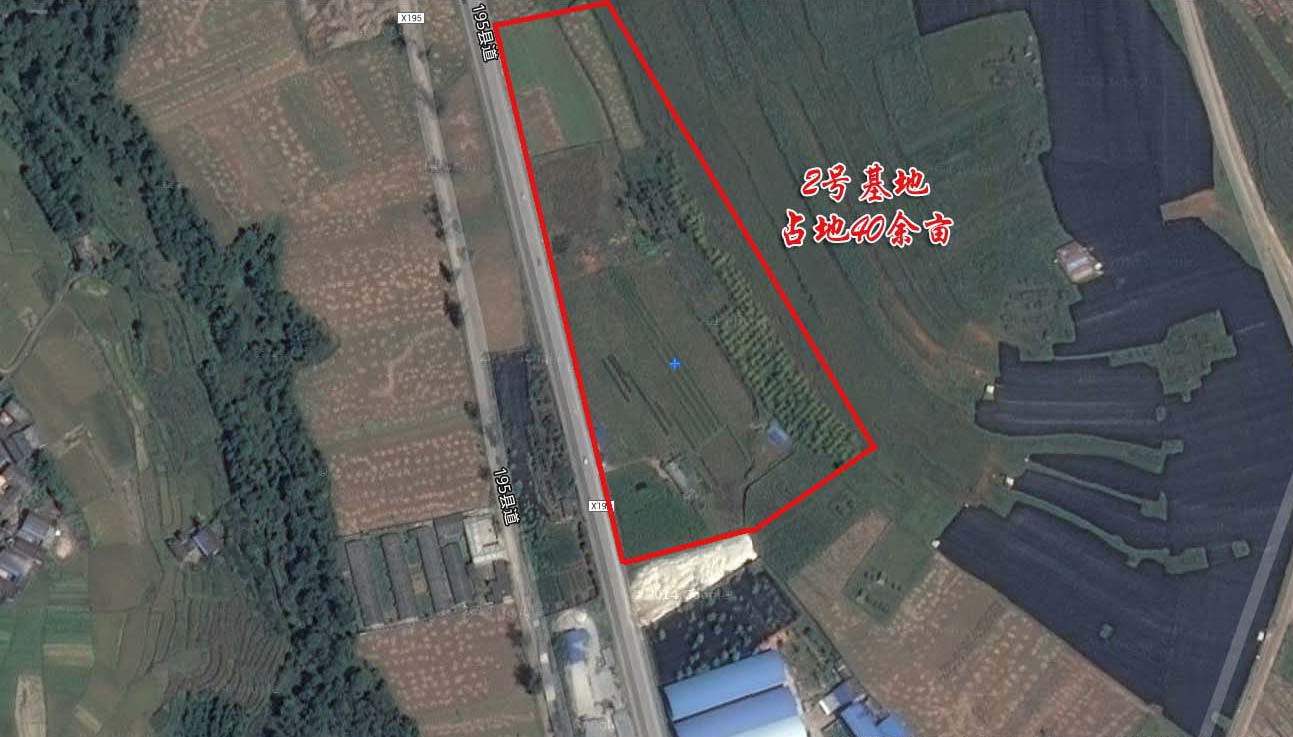 腾冲市百合圆农业科技开发有限责任公司介绍